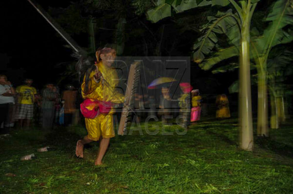 Seorang prajurit menari perang diantara tanaman pisang sebagai bagian dari prosesi balia. (Foto: bmzIMAGES/Basri Marzuki)