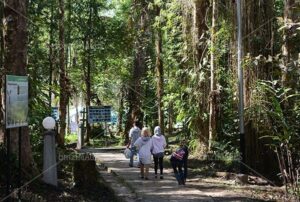 Pengunjung tiba dan hanya berjarak 100 meter dari jalan utama menuju lokasi Telaga Tambing. Kawasan ini terletak di Desa Sedoa, Kec. Lore Utara, Kabupaten Poso, Sulawesi Tengah, Indonesia. (bmzIMAGES/Basri Marzuki)