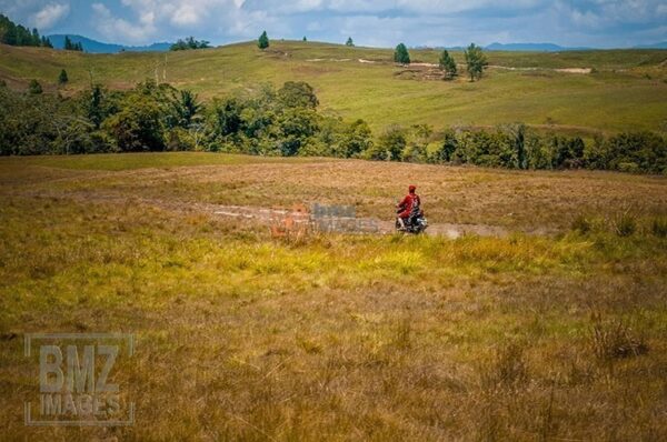 Hari mulai sore, aktivitas penggembalaan berakhir untuk melakukannya kembali esok hari. Penggembala pulang melintasi bebukitan. bmzIMAGES/Basri Marzuki