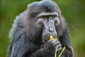 Foto: bmzIMAGES/Basri Marzuki