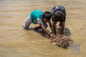Palu, Central Sulawesi, Indonesia (October 27): Two boys pushed a Hawksbill turtle (Eretmochelys imbricata) down to sea on the Kampung Lere Beach, Palu, Central Sulawesi, Indonesia on 27 October 2019. The rare and protected turtle was released by the boy This is after a fisherman catches him when he catches fish in the sea and then leaves it tied to the hot beach. The children then came and felt sorry, then released him back to the sea. (bmzIMAGES/Basri Marzuki)