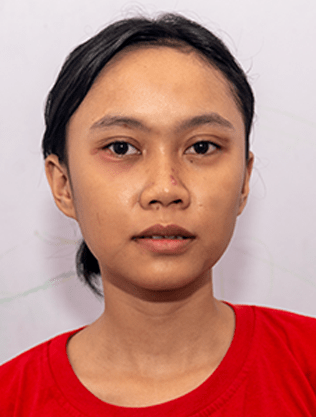 Aulia Insani