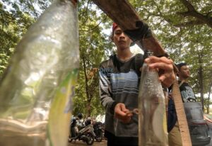 Sejumlah pelajar SMA Negeri 1 Palu yang menamakan diri Komunitas Musik Sampah memainkan alat musik yang dikumpulkan dan dirakit dari sampah-sampah di Taman GOR Palu, Sulawesi Tengah, Selasa (11/6/2013). Penampilan itu merupakan uji latih sebelum mempertontonkan kepada khalayak dalam rangka mendapatkan nilai ekstra kurikuler di sekolah mereka. bmzIMAGES/Basri Marzuki