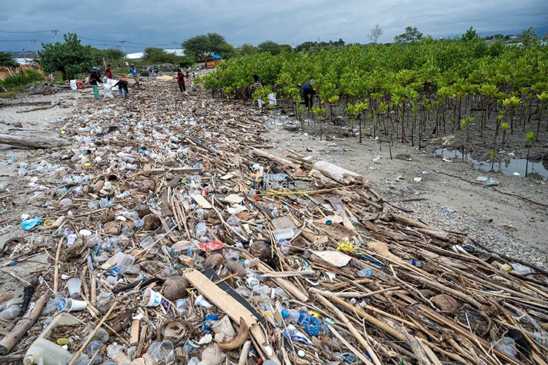 Penumpukan Sampah Kiriman di Teluk Palu