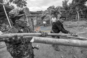 Sejumlah warga adat mempersiapkan bahan-bahan pesta adat Vunja di Desa Lolu, Kecamatan Sigi Biromaru, Kabupaten Sigi, Sulawesi Tengah, Selasa (8/5/12). Vunja adalah pesta adat usai panen yang digelar sebagai wujud syukur atas hasil panen yang melimpah. Pesta itu telah menjadi tradisi warga setempat secara turun temurun. bmzIMAGES/Basri Marzuki